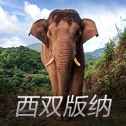 几场超越？威少生涯抢断数距离历史第16名科比只差2次